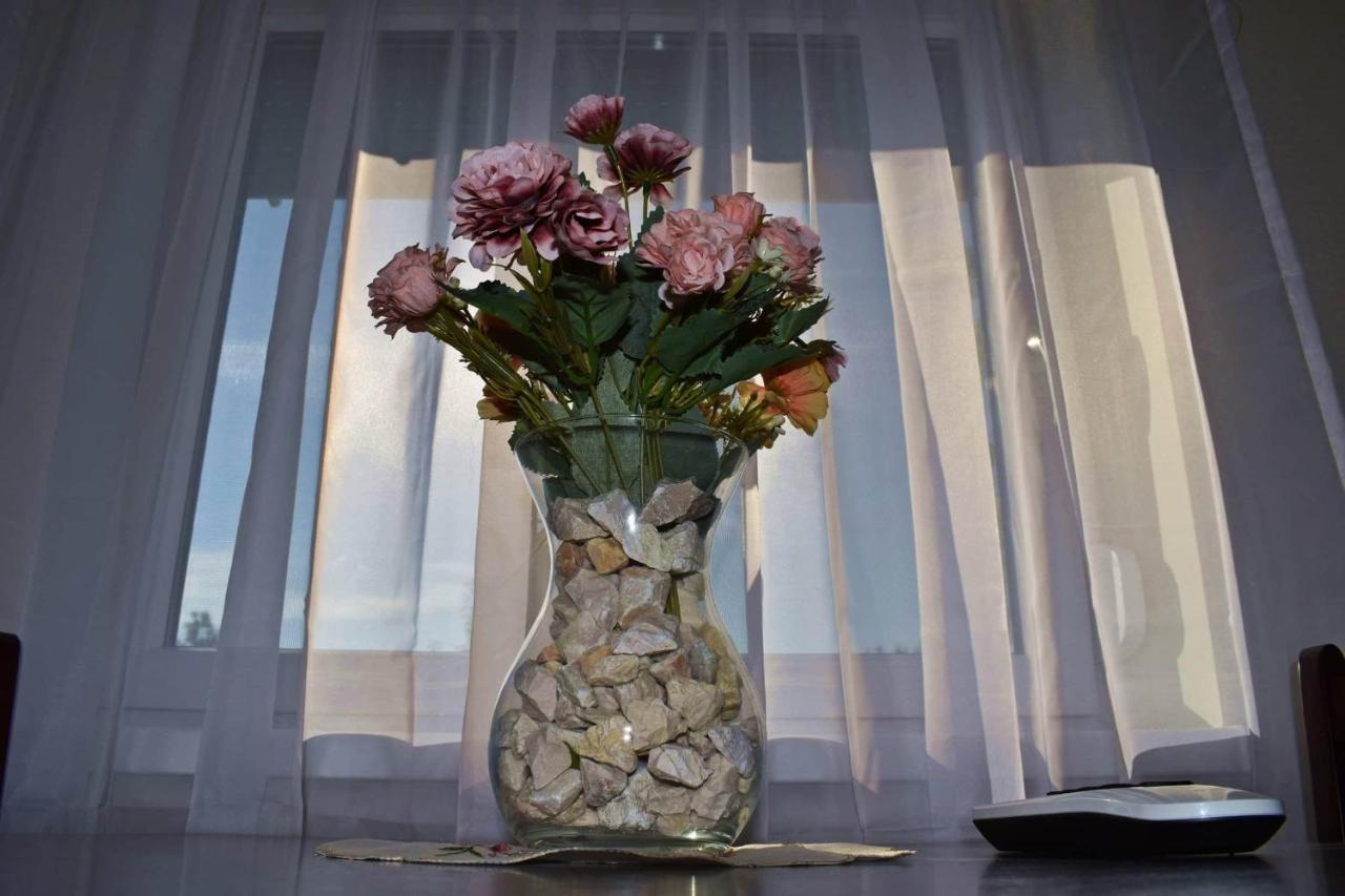 Napfeny Apartman Makó Buitenkant foto
