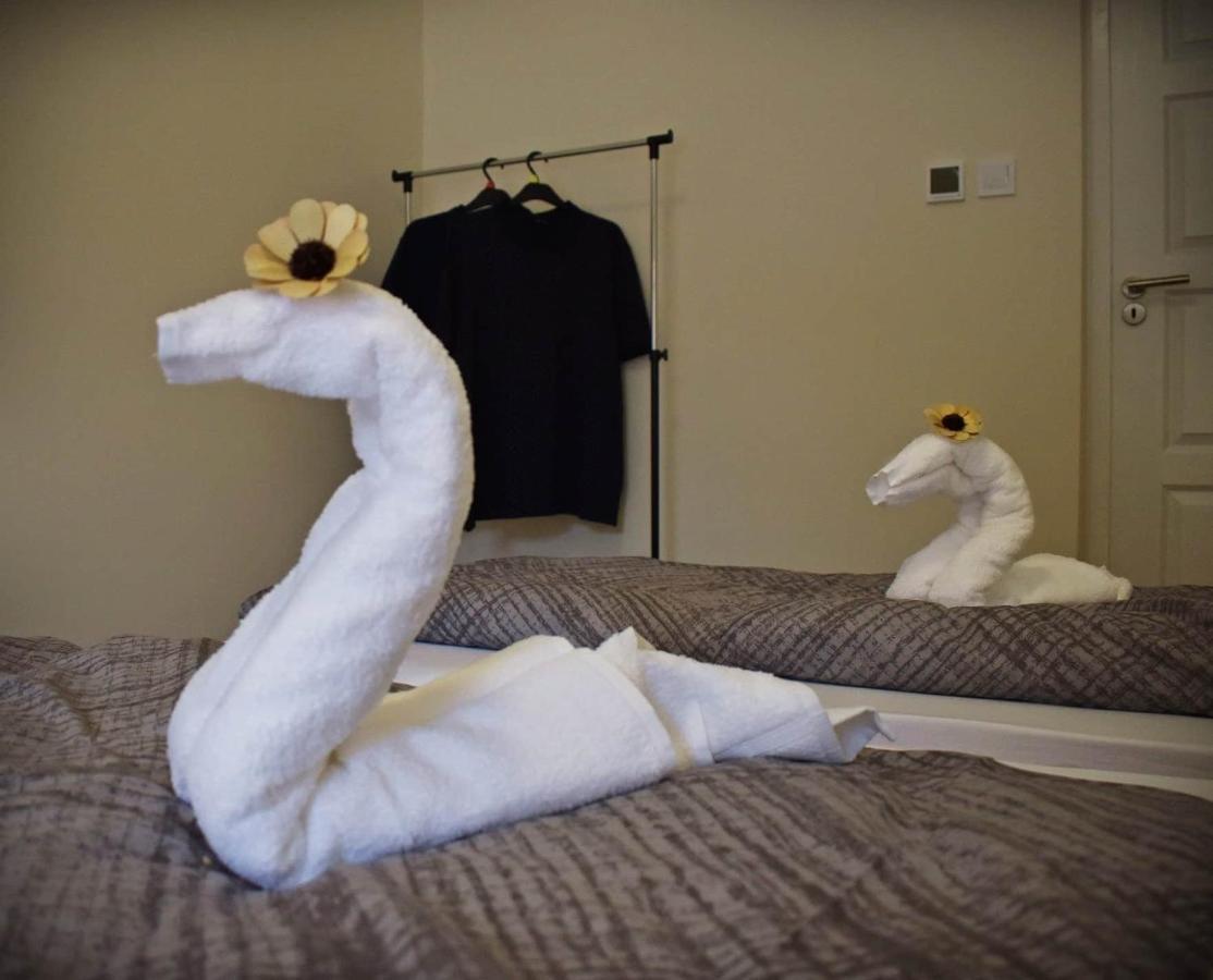 Napfeny Apartman Makó Buitenkant foto